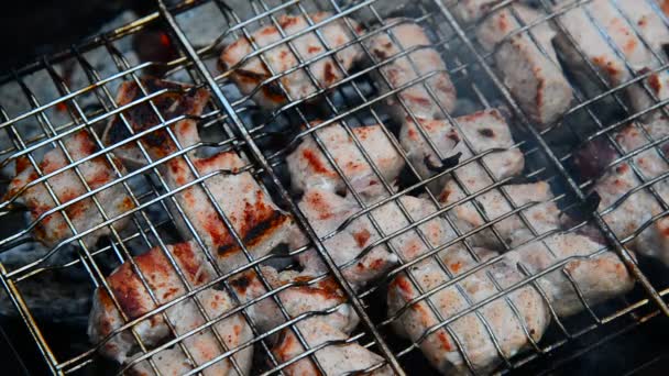 Barbecue voor pork bereid op de grill — Stockvideo