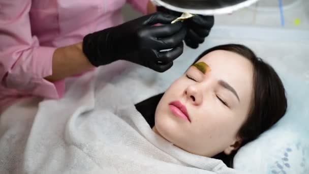 Doctor beautician colors eyebrow of girl — Stock Video