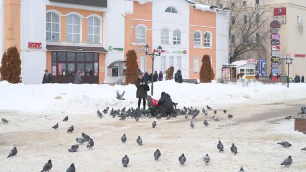Dmitrov, Russia - March 10. 2018. family feeds pigeons on Sovetskaya Square — Stock Video