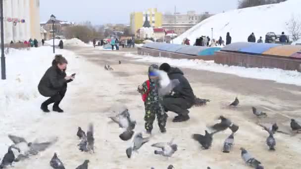 Dmitrov, Russia - 10 marzo. 2018. famiglia si nutre piccioni su Sovetskaya Square — Video Stock