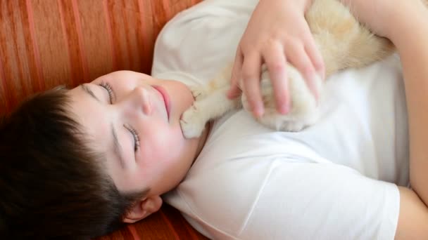 Мальчик играет с котенком на красном диване — стоковое видео