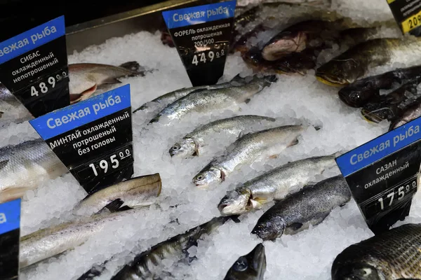 white fish. On the price tags in Russian, fresh fish are written. No logos and brands.