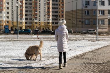 kadın ile köpek kış aylarında şehirde yürüyor
