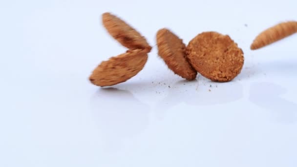 Oatmeal cookies fall down on white background in slow motion — Stock Video