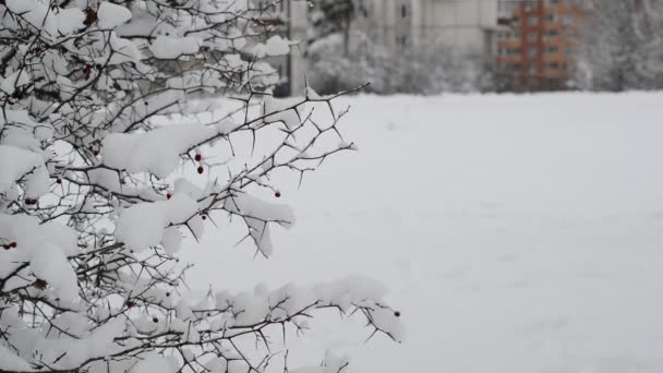 Зимний городской пейзаж в Москве — стоковое видео