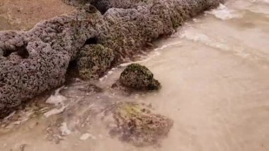 Basra Körfezi taş sahil kabuk rock ile kaplıdır.