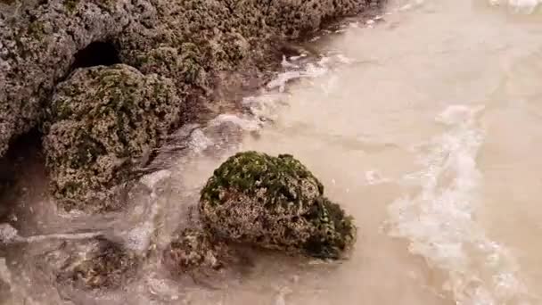 Steinküste des Persischen Golfs ist mit Muschelgestein bedeckt. — Stockvideo