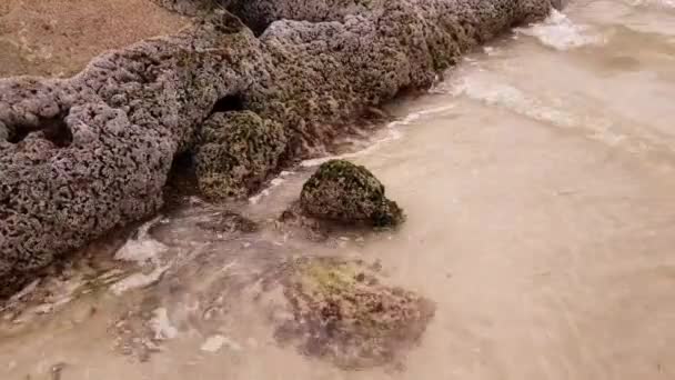 Steinküste des Persischen Golfs ist mit Muschelgestein bedeckt. — Stockvideo