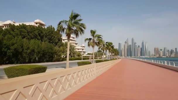 Dubai, UAE - April 8. 2018. Dubai Marina from the palm trees of Jumeirah — Stock Video