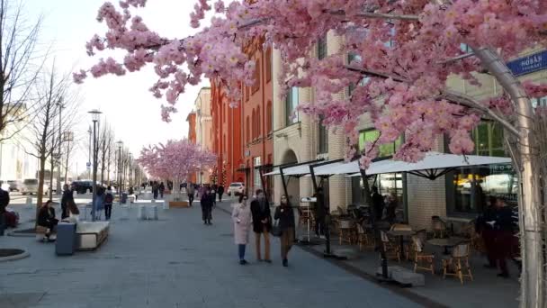 Moskau, Russland - 14. April. 2018. Neuer Platz mit Bäumen geschmückt, die für das Ostergeschenk des Festivals blühen — Stockvideo