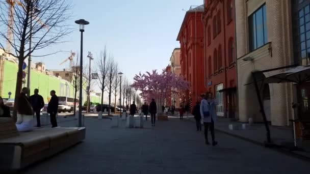 Moskau, Russland - 14. April. 2018. Neuer Platz mit Bäumen geschmückt, die für das Ostergeschenk des Festivals blühen — Stockvideo