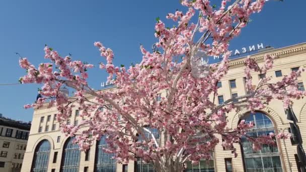 Искусственное цветущее дерево на улице Москва, Россия — стоковое видео