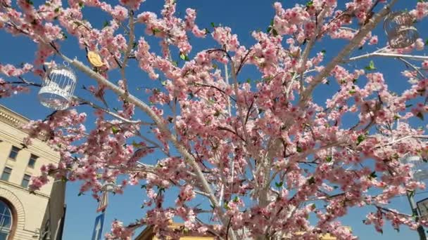Artificial flowering tree on street of Moscow, Russia — Stock Video