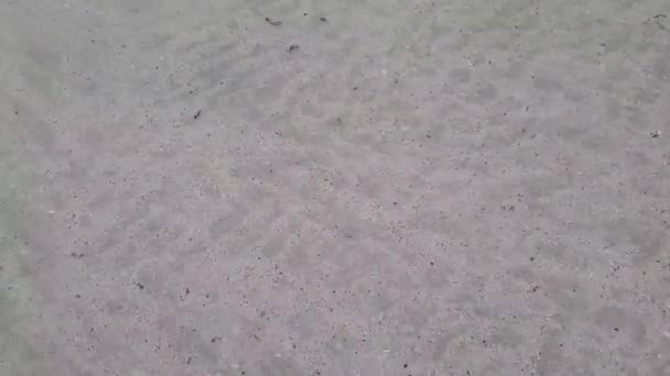 Flachwasser mit sandigem Boden im Persischen Golf — Stockvideo
