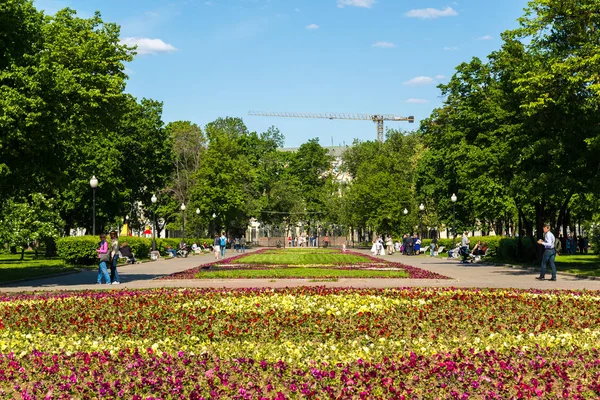 Moscú, Rusia - 14 de mayo. 2016. Gran macizo de flores en la Plaza Bolotnaya — Foto de Stock