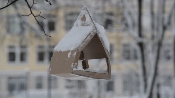 Картонная кормушка зимой висит на дереве — стоковое видео
