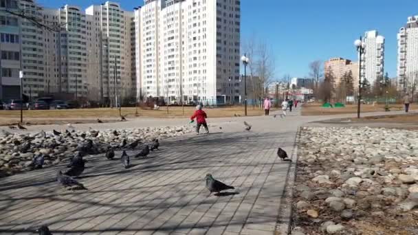 Moskau, russland-april 22.2018. das kind spielt mit vögeln auf dem boulevard — Stockvideo