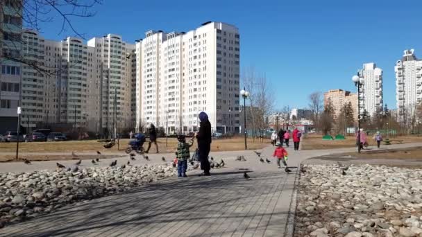 Moskau, russland-april 22.2018. das kind spielt mit vögeln auf dem boulevard — Stockvideo