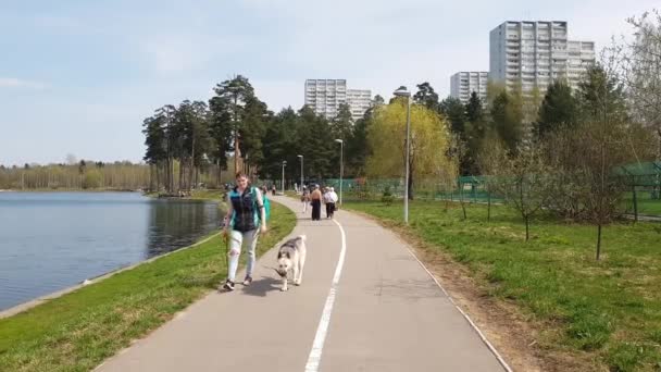 Moscou, Rússia - 02 de maio. 2018. As pessoas andam ao longo do lago em Zelenograd — Vídeo de Stock