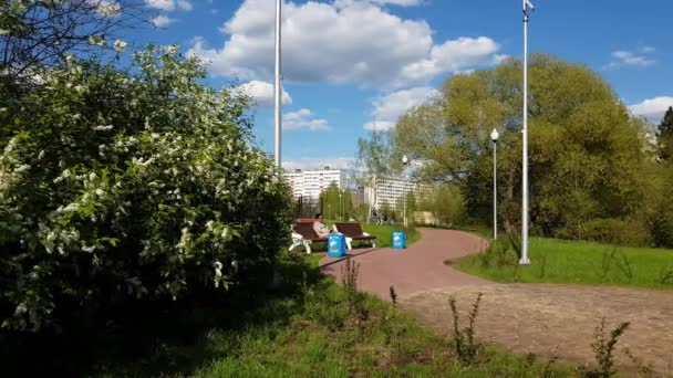 Москва, Россия - 08 мая. 2018. площадь с деревьями на Сосновой аллее в Зеленограде — стоковое видео