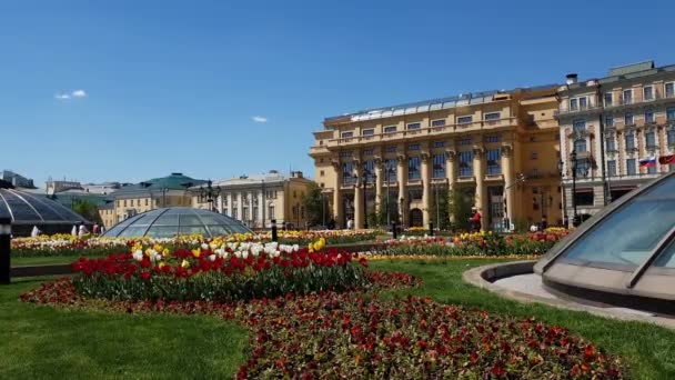 モスクワ, ロシア連邦 - 5 月 12 日。2018。 Manezhnaya 広場のチューリップと Zholtov ハウスで飾られています。 — ストック動画