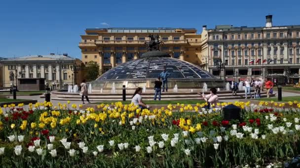 Moscú, Rusia - 12 de mayo. 2018. Plaza Manezhnaya está decorada con tulipanes y casa Zholtov — Vídeos de Stock