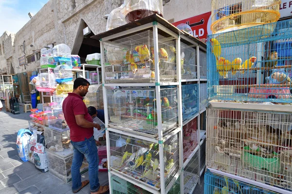 Doha, Qatar - 21 de novembro. 2019. Venda de aves em Souq Waqif - mercado para a venda de roupas tradicionais . — Fotografia de Stock