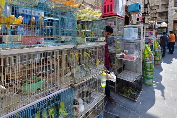 Doha, Katar - 21 Kasım. 2019. Souq Waqif 'te kuş satmak - geleneksel giysi satmak için pazar yeri. — Stok fotoğraf