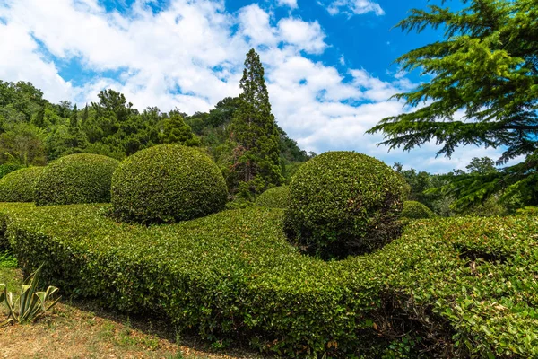 Projeto paisagístico em Princes Yusupov Palace em Koreiz, Crimeia — Fotografia de Stock