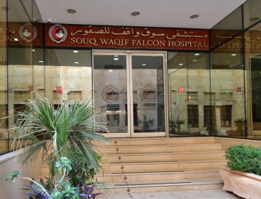 Doha, Katar - 21 Kasım. 2019. Souq Waqif Falcon Hastanesi