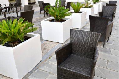 Katar 'da hasır sandalyeli ve palmiye ağaçlı sokak kafesi