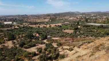 Zeytin ağaçları ve kırsal evleri olan bir vadi. Kıbrıs