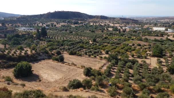 Vallée avec oliviers et maisons rurales. Chypre — Video