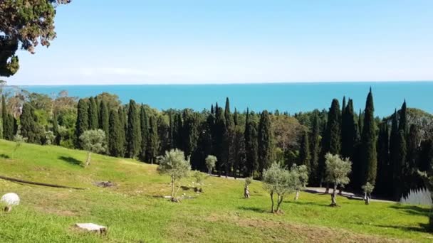 Natur in Abchasien bei Neu-Athos im Sommer — Stockvideo