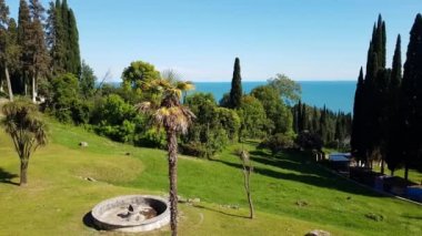 Yazın Yeni Athos yakınlarında Abhazya 'da doğa