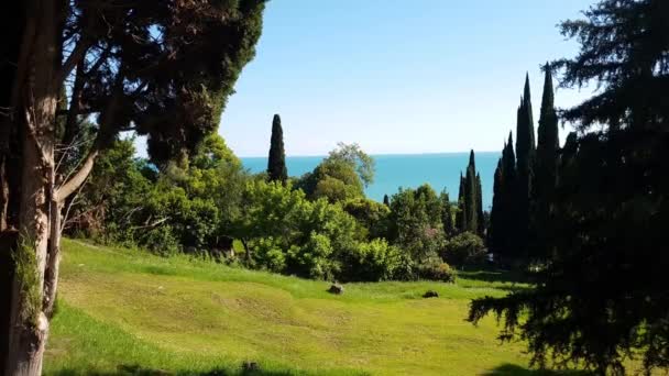 Nature in Abkhazia near New Athos in summer — Stock Video