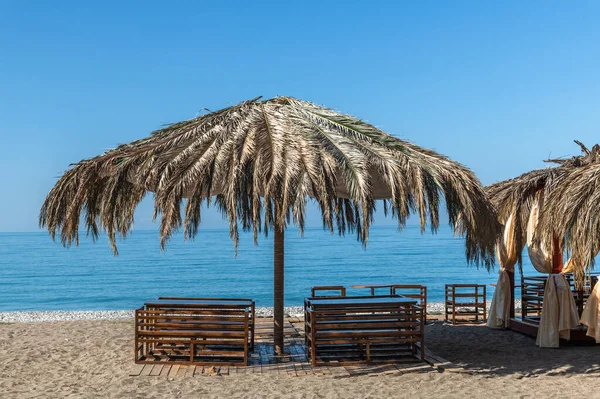 Krásná louka z palmových listů na pláži v Abcházii — Stock fotografie