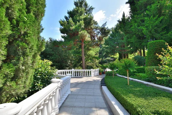 Die Gasse in einem schönen Nadelwald-Park — Stockfoto