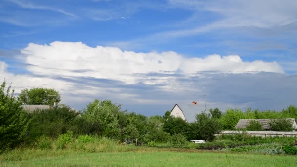 Prachtig zomers landelijk landschap met bewolkte lucht — Stockvideo