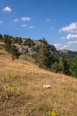 Kırım 'daki Ah-Petri dağının doğal manzarası.