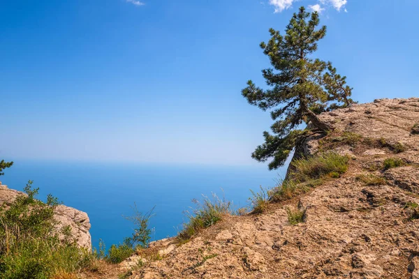 Kırım Daki Petri Dağının Doğal Manzarası — Stok fotoğraf