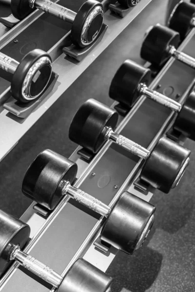 Set Different Weight Dumbbells Gym — Stock Photo, Image