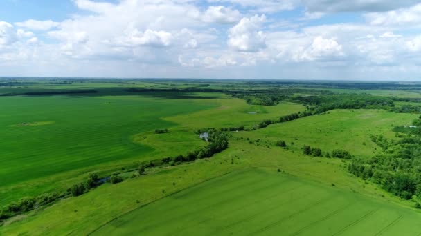 Hermoso paisaje rural fotografiado desde arriba. Rusia — Vídeo de stock