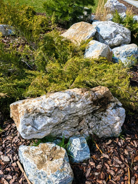 Uso Grandes Pedras Paisagismo Jardim — Fotografia de Stock