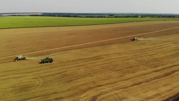 俄罗斯中部黑土的结合体收获谷物 — 图库视频影像