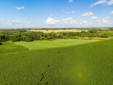 Güzel kırsal alan yukarıdan çekiliyor. Rusya