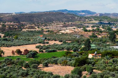 Bir sürü zeytin ağacı ve kırsal evleri olan bir vadi. Kıbrıs