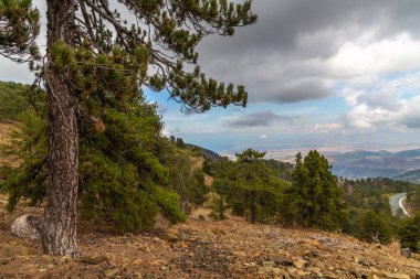 Kıbrıs adasının en yüksek zirvesi olan Olimpos Dağı 'ndan manzara. Troodos Dağları