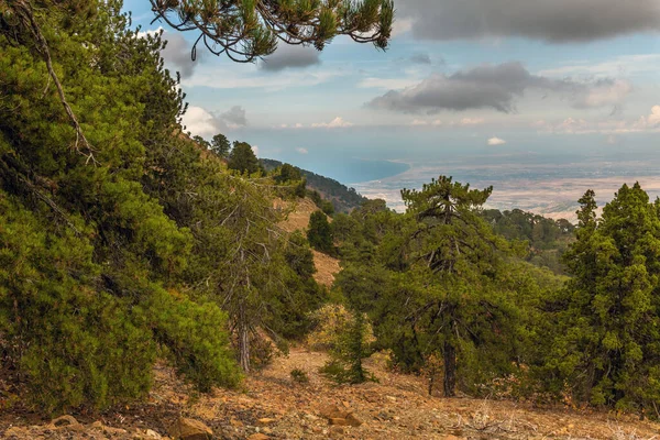 Uitzicht Vanaf Olympus Hoogste Top Van Het Eiland Cyprus Troodogebergte — Stockfoto