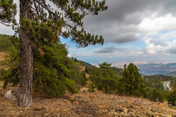 Vue Depuis Mont Olympe Haut Sommet Île Chypre Troodos Montagnes — Photo